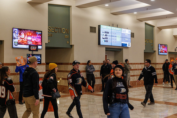 031125_ANAHEIM_DUCKS_0812