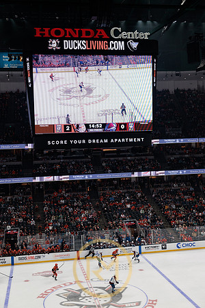 041325_ANAHEIM_DUCKS_361