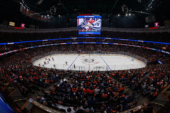 101624_ANAHEIM_DUCKS_0869