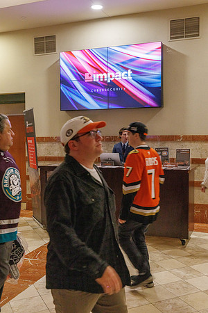 031125_ANAHEIM_DUCKS_1641