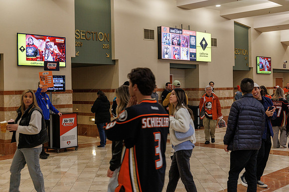 031125_ANAHEIM_DUCKS_0849