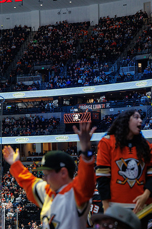 031125_ANAHEIM_DUCKS_1139