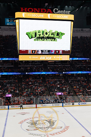041325_ANAHEIM_DUCKS_359