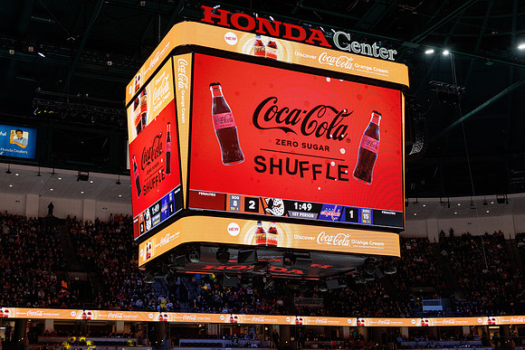 031125_ANAHEIM_DUCKS_1135
