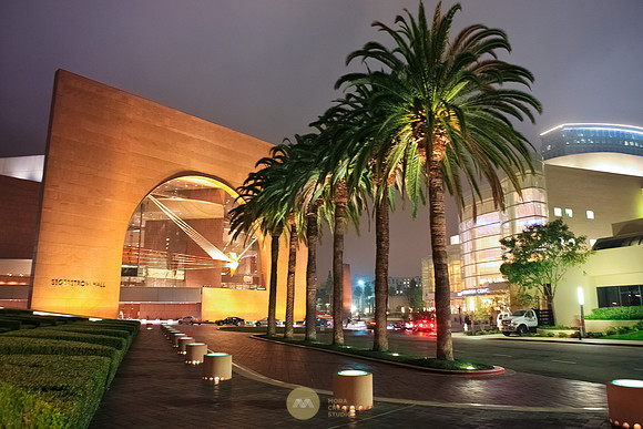 101611_Segerstrom_0013