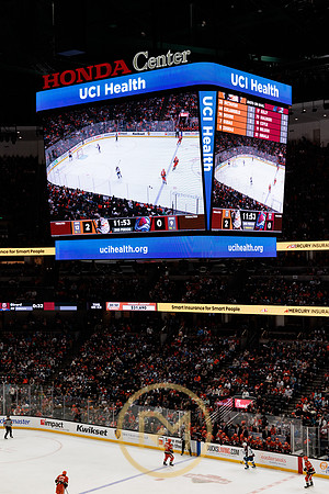 041325_ANAHEIM_DUCKS_232