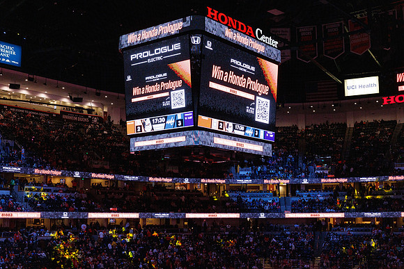 031125_ANAHEIM_DUCKS_1363