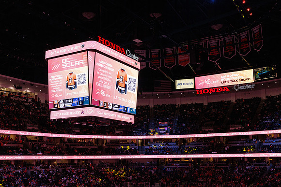 031125_ANAHEIM_DUCKS_1407