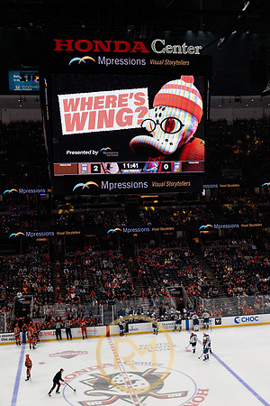 041325_ANAHEIM_DUCKS_375
