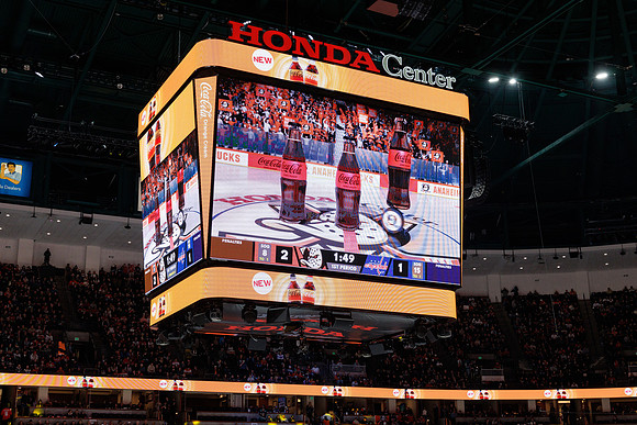 031125_ANAHEIM_DUCKS_1136