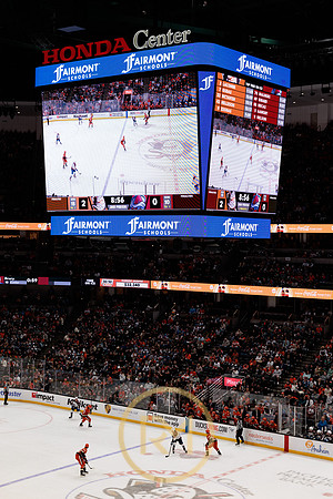 041325_ANAHEIM_DUCKS_245