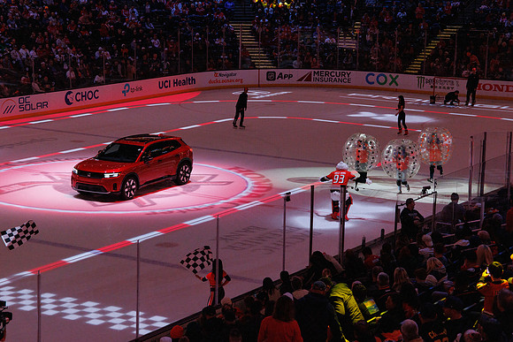 031125_ANAHEIM_DUCKS_1384
