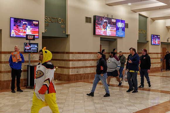 031125_ANAHEIM_DUCKS_0966