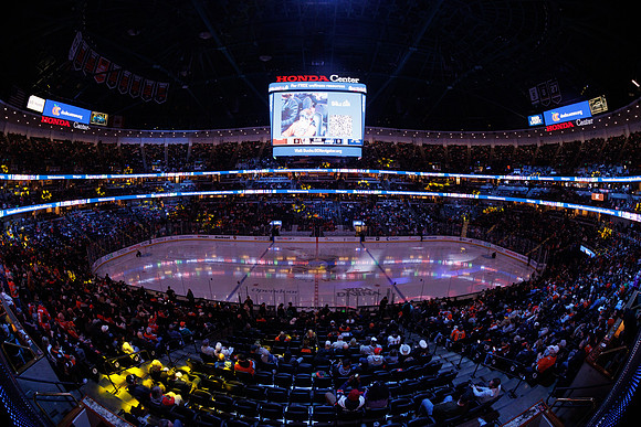 031125_ANAHEIM_DUCKS_0236