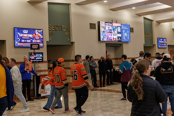 031125_ANAHEIM_DUCKS_0814