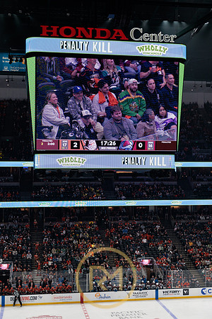 041325_ANAHEIM_DUCKS_340
