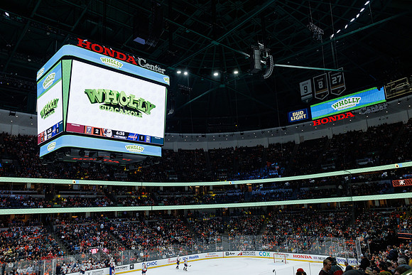 031125_ANAHEIM_DUCKS_1085