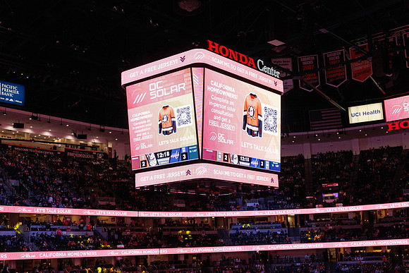 031125_ANAHEIM_DUCKS_1409
