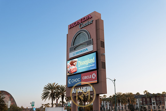 041325_ANAHEIM_DUCKS_077