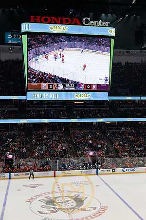 041325_ANAHEIM_DUCKS_357