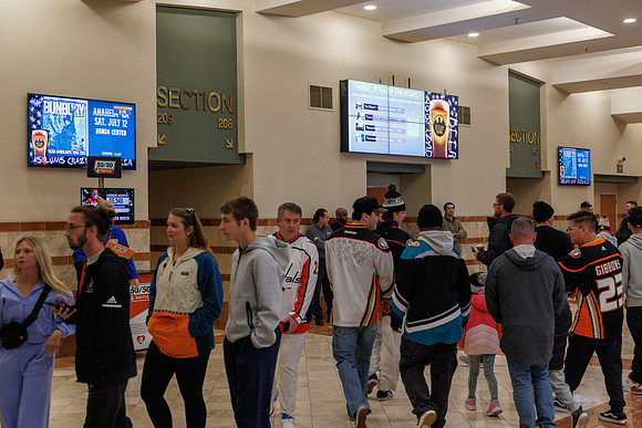031125_ANAHEIM_DUCKS_0803