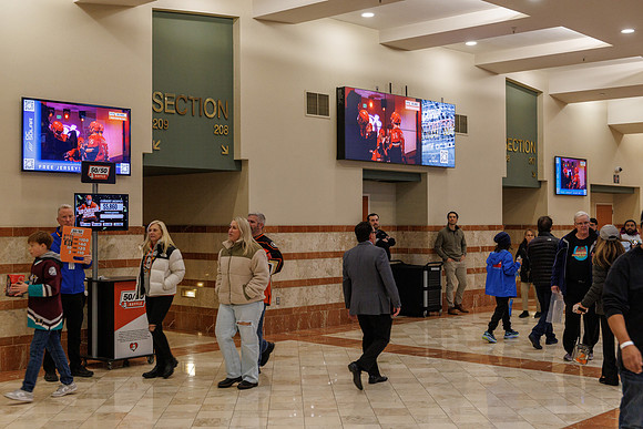 031125_ANAHEIM_DUCKS_0956