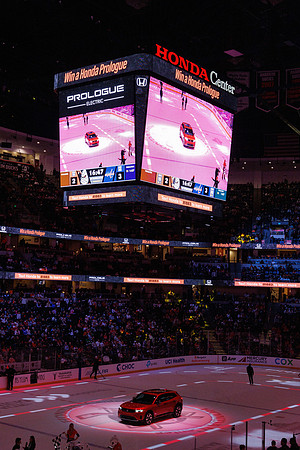 031125_ANAHEIM_DUCKS_1371
