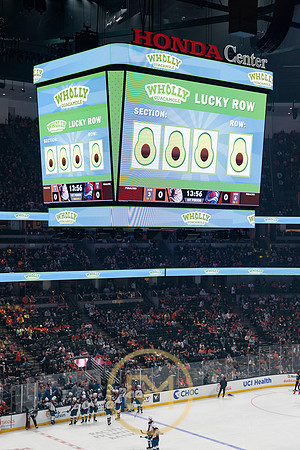 041325_ANAHEIM_DUCKS_089