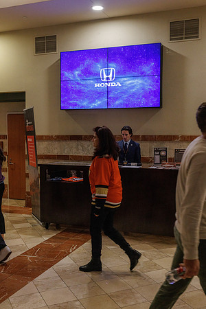 031125_ANAHEIM_DUCKS_1630