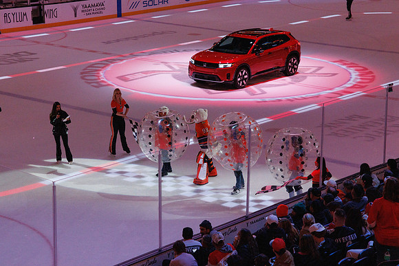 031125_ANAHEIM_DUCKS_1377