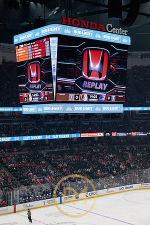 041325_ANAHEIM_DUCKS_084