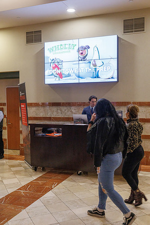 031125_ANAHEIM_DUCKS_1635