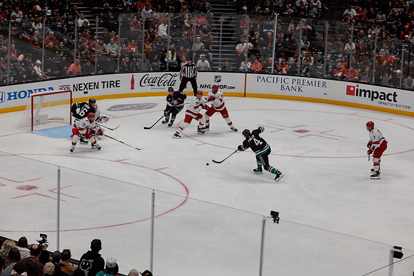 101523_ANAHEIM_DUCKS_0568