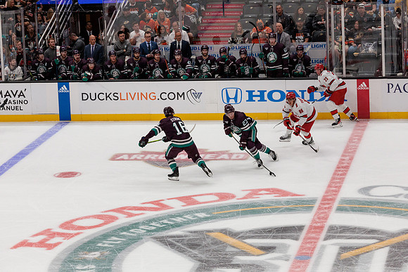 101523_ANAHEIM_DUCKS_0590