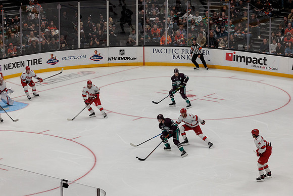 101523_ANAHEIM_DUCKS_0658