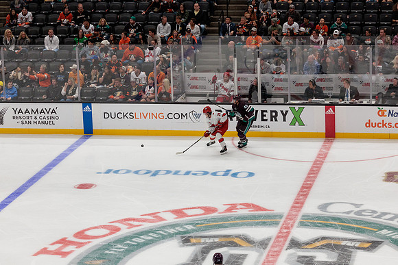 101523_ANAHEIM_DUCKS_0662
