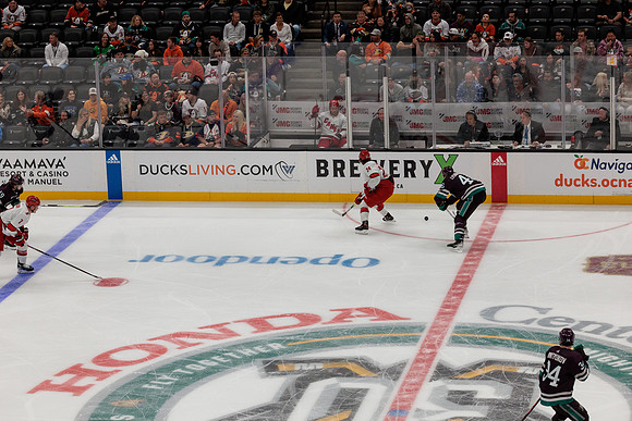101523_ANAHEIM_DUCKS_0663