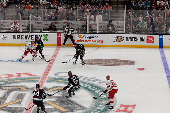 101523_ANAHEIM_DUCKS_0667
