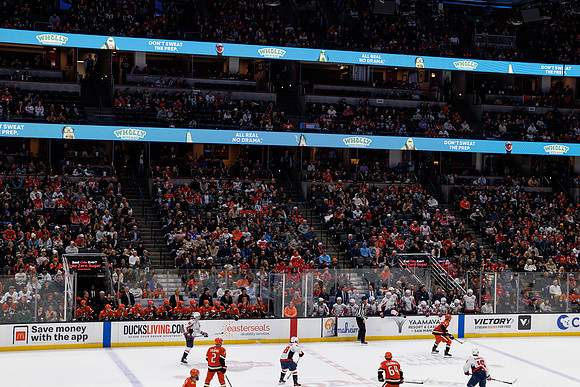 031125_ANAHEIM_DUCKS_1121