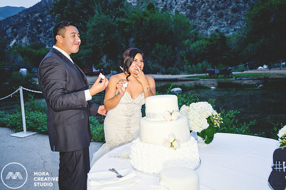 WEDDING_062715_0850