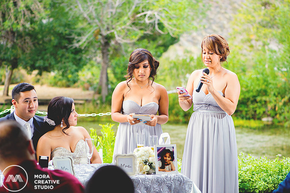 WEDDING_062715_0676