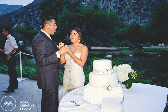 WEDDING_062715_0848
