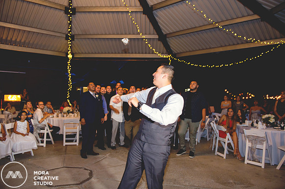 WEDDING_062715_0883