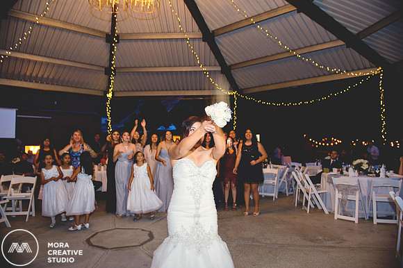 WEDDING_062715_0860