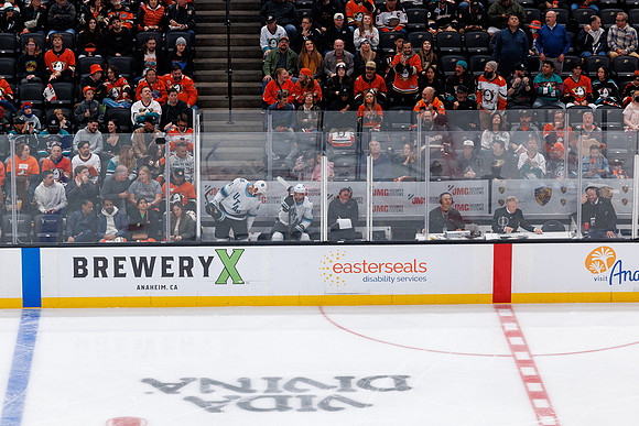 101624_ANAHEIM_DUCKS_0696