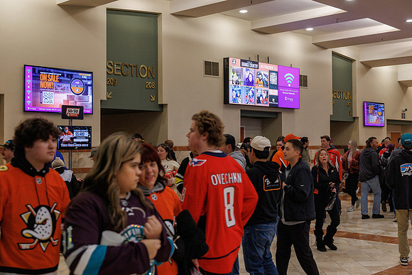031125_ANAHEIM_DUCKS_0821