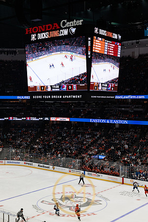 041325_ANAHEIM_DUCKS_175
