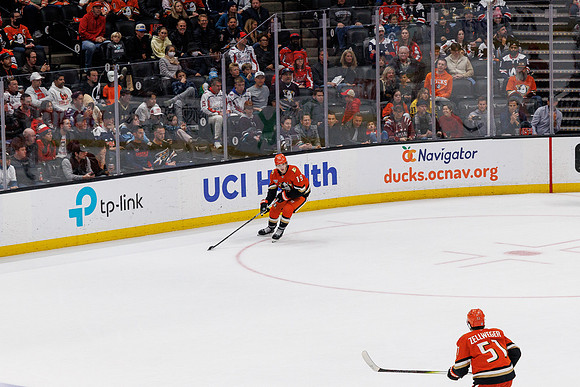 031125_ANAHEIM_DUCKS_1355