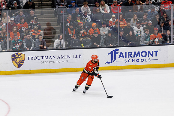 031125_ANAHEIM_DUCKS_1320
