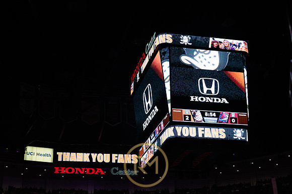 041325_ANAHEIM_DUCKS_315